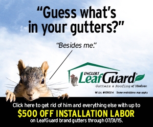 LeafGuard Digital Ad 1